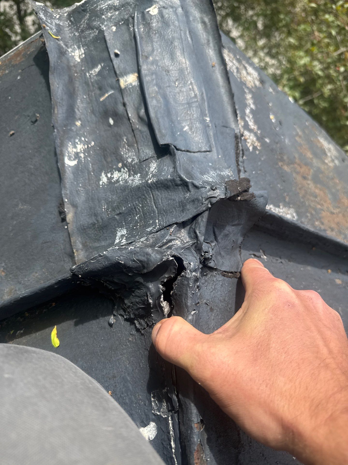 Newly framed by Storm Contracting 