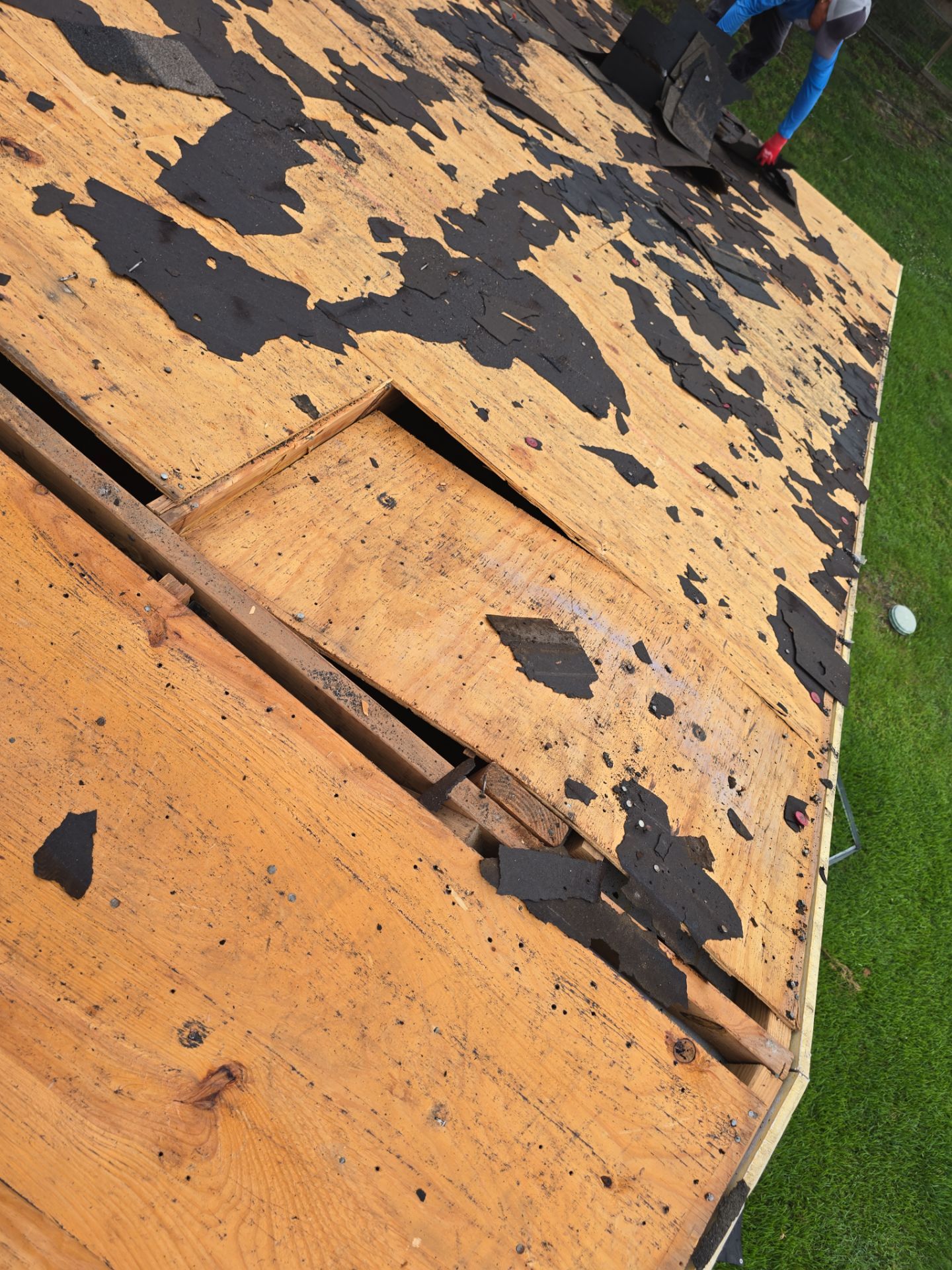 Roof Replacement Humble by Roof Repair Services LLC