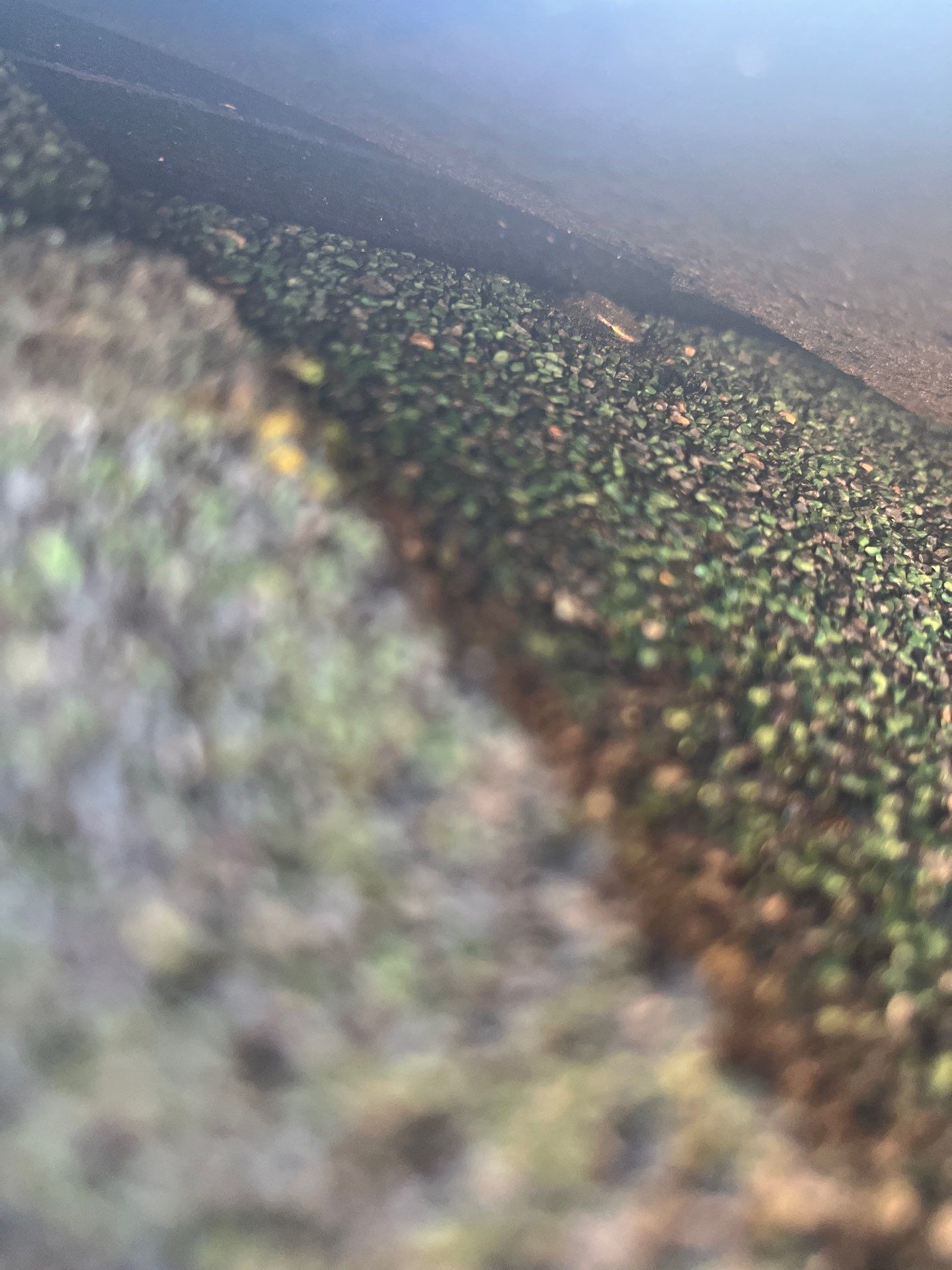 Project in Spokane by Connolly Construction Company