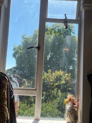 White Casement Window Installation with Black Metal Hardware in England