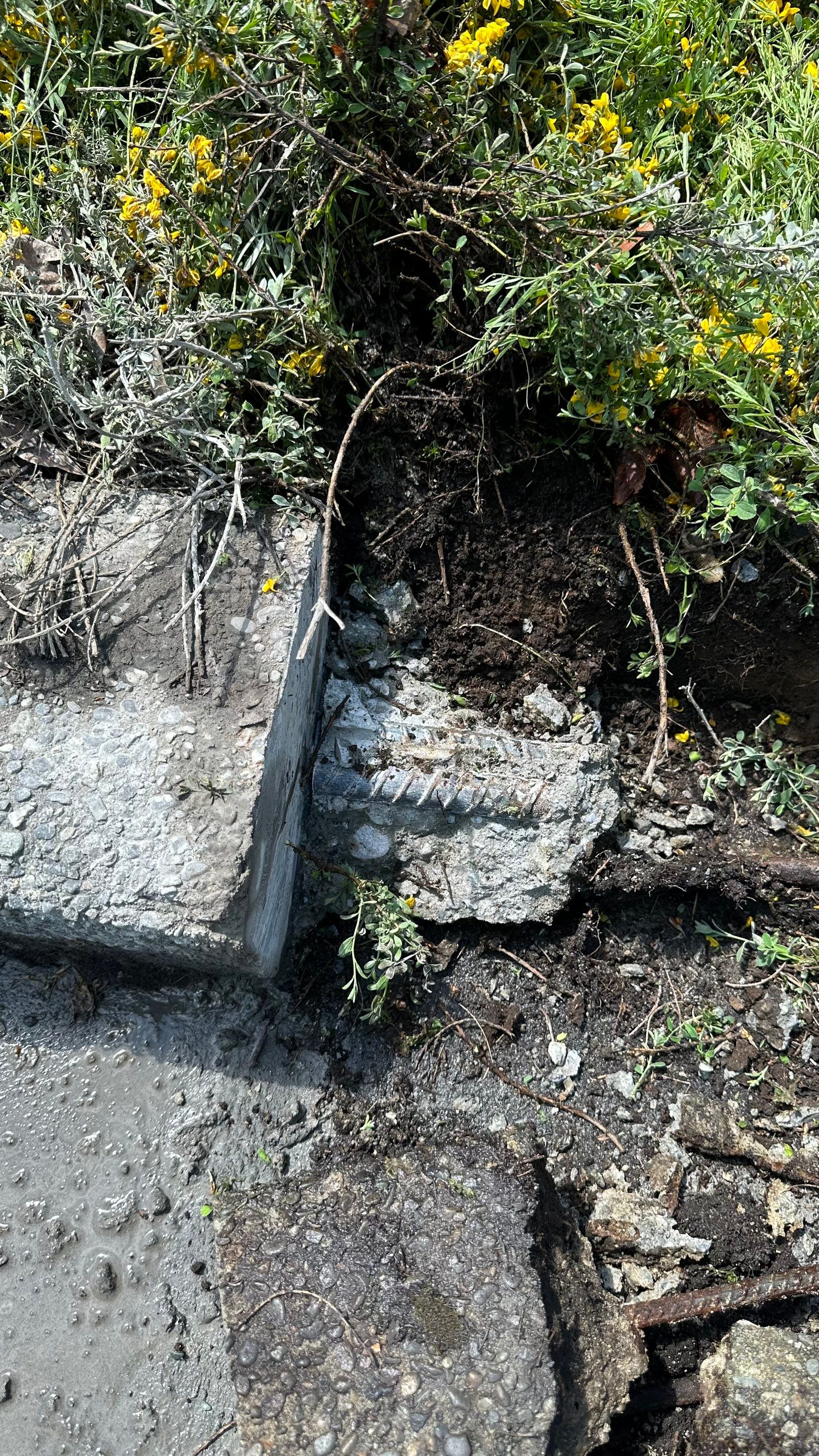 Amanda | Concrete Curb by Jireh Asphalt & Concrete Inc 