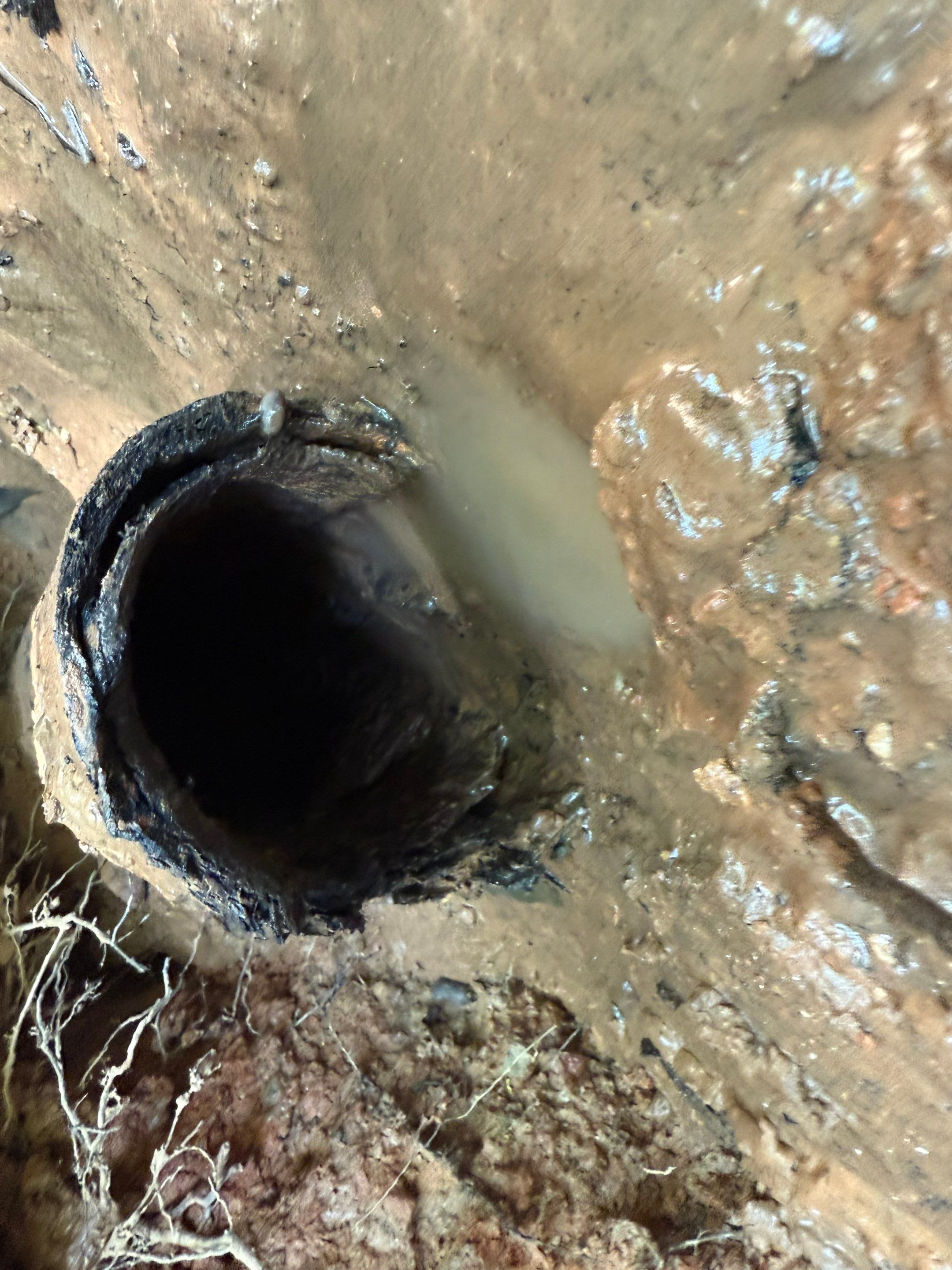 Drain Repipe Project in Mt Vernon by Rub-A-Dub Plumbing