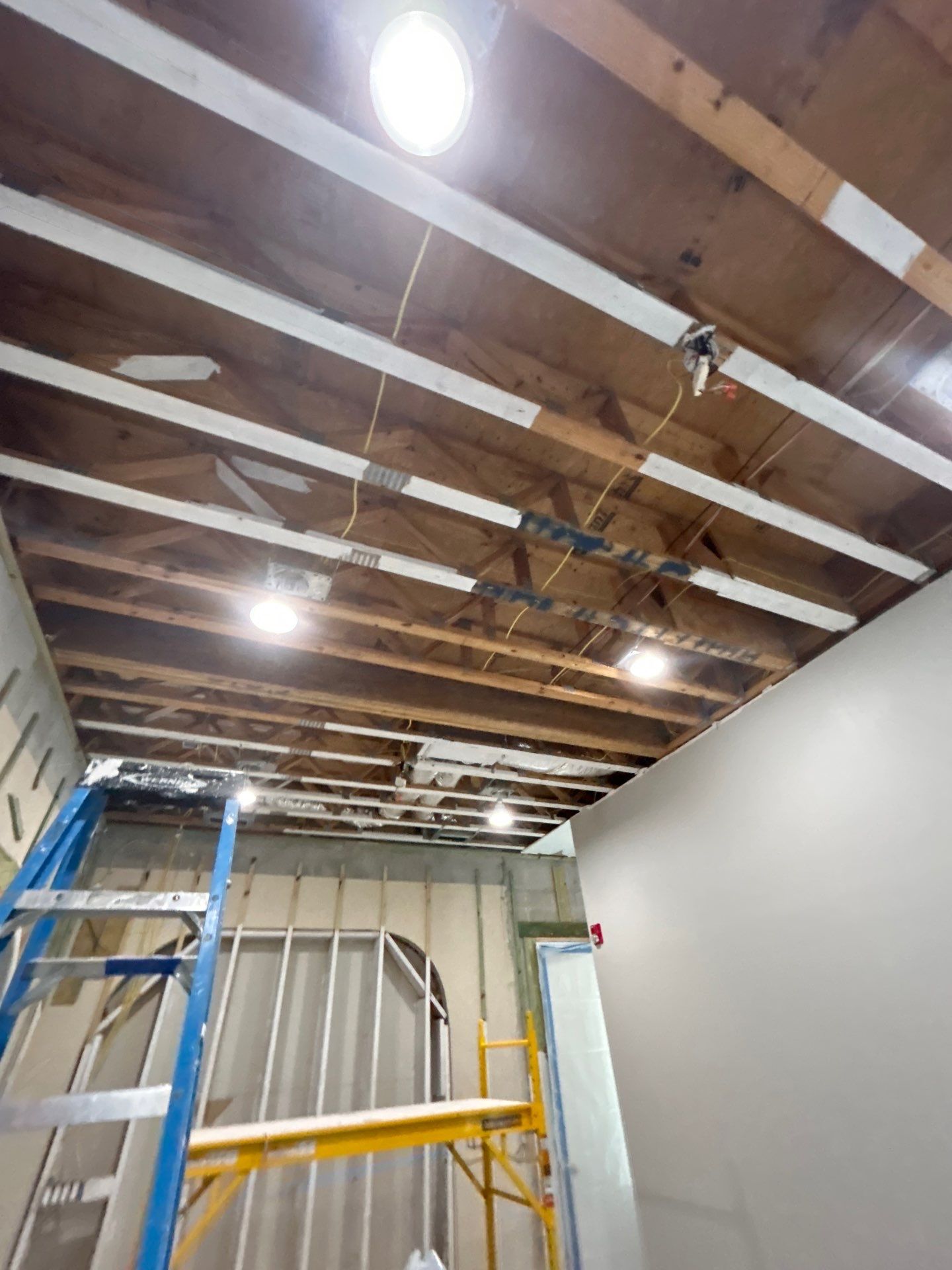 Mold Removal & Remediation In Sarasota by Ampm Restoration Services