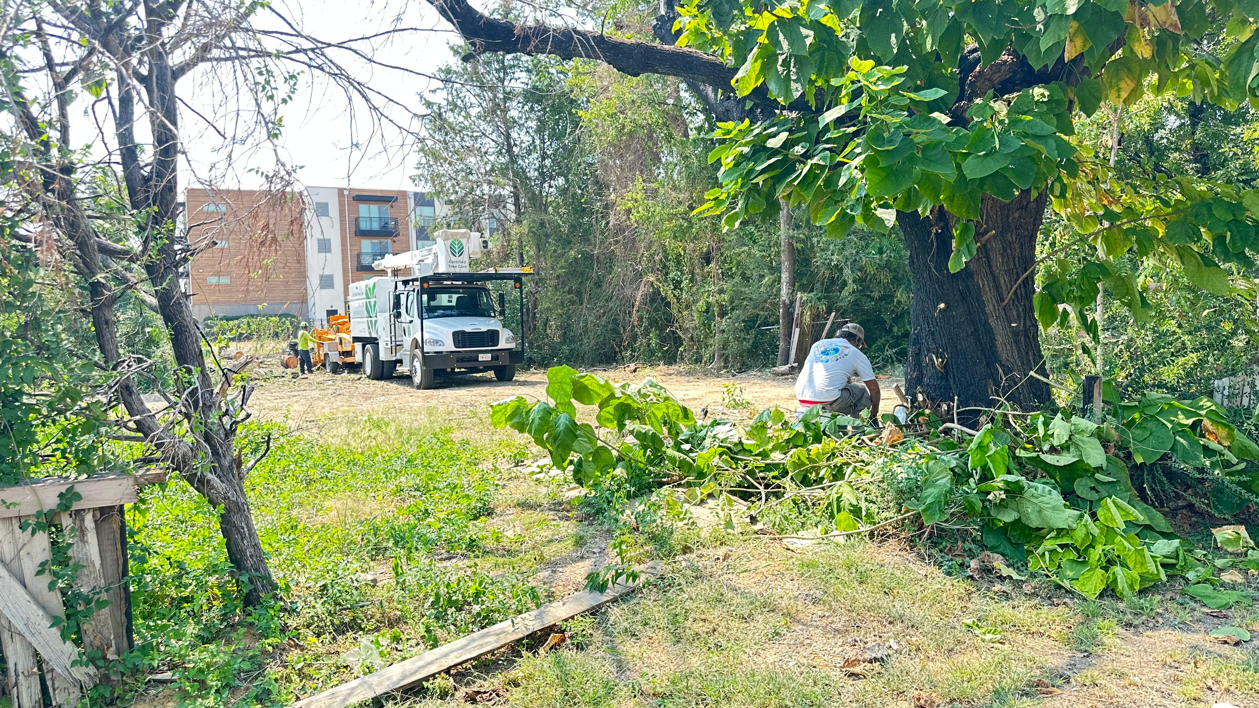 City Tree Company  by Rockwall Honey Bee Company