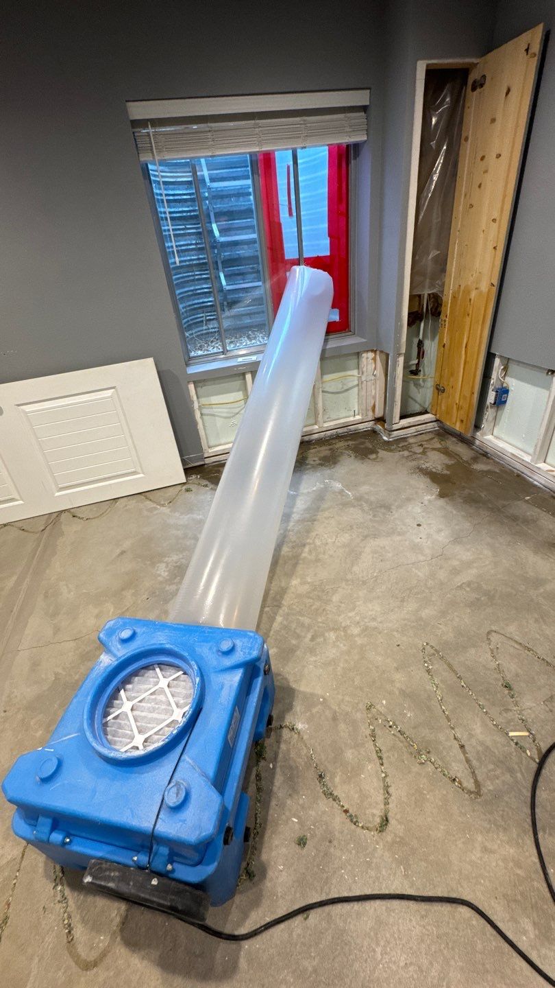 Mold Project in Thornton by Accountable Home Services