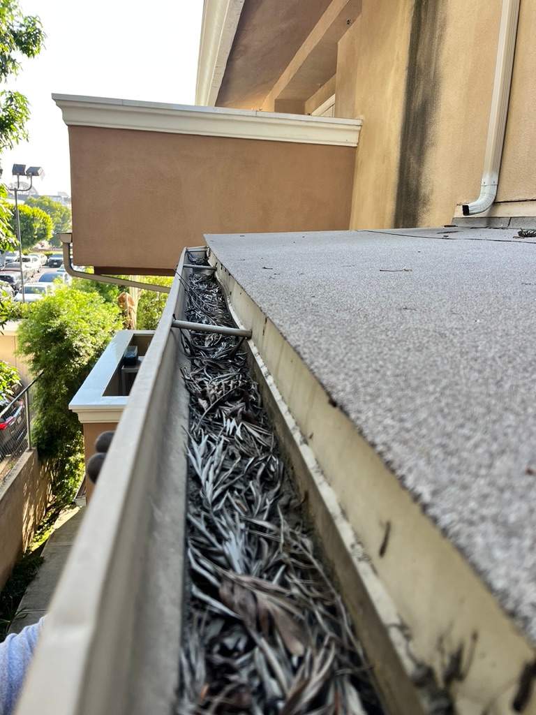 HOA Gutter Cleaning South Mentor Ave Pasadena by Palm Coast Solar Cleaning