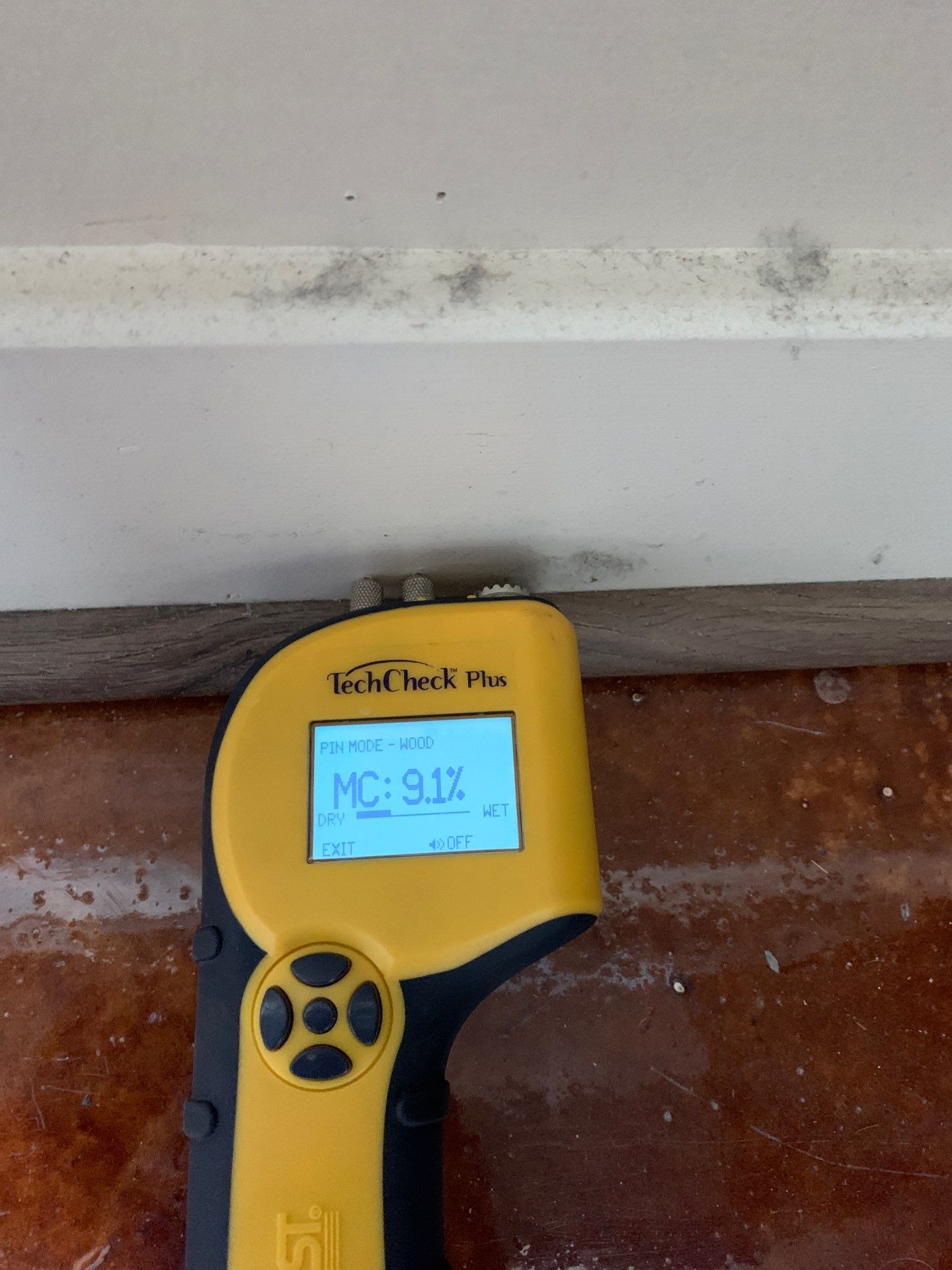 Mitigation and Restoration by EAS Environmental, LLC.