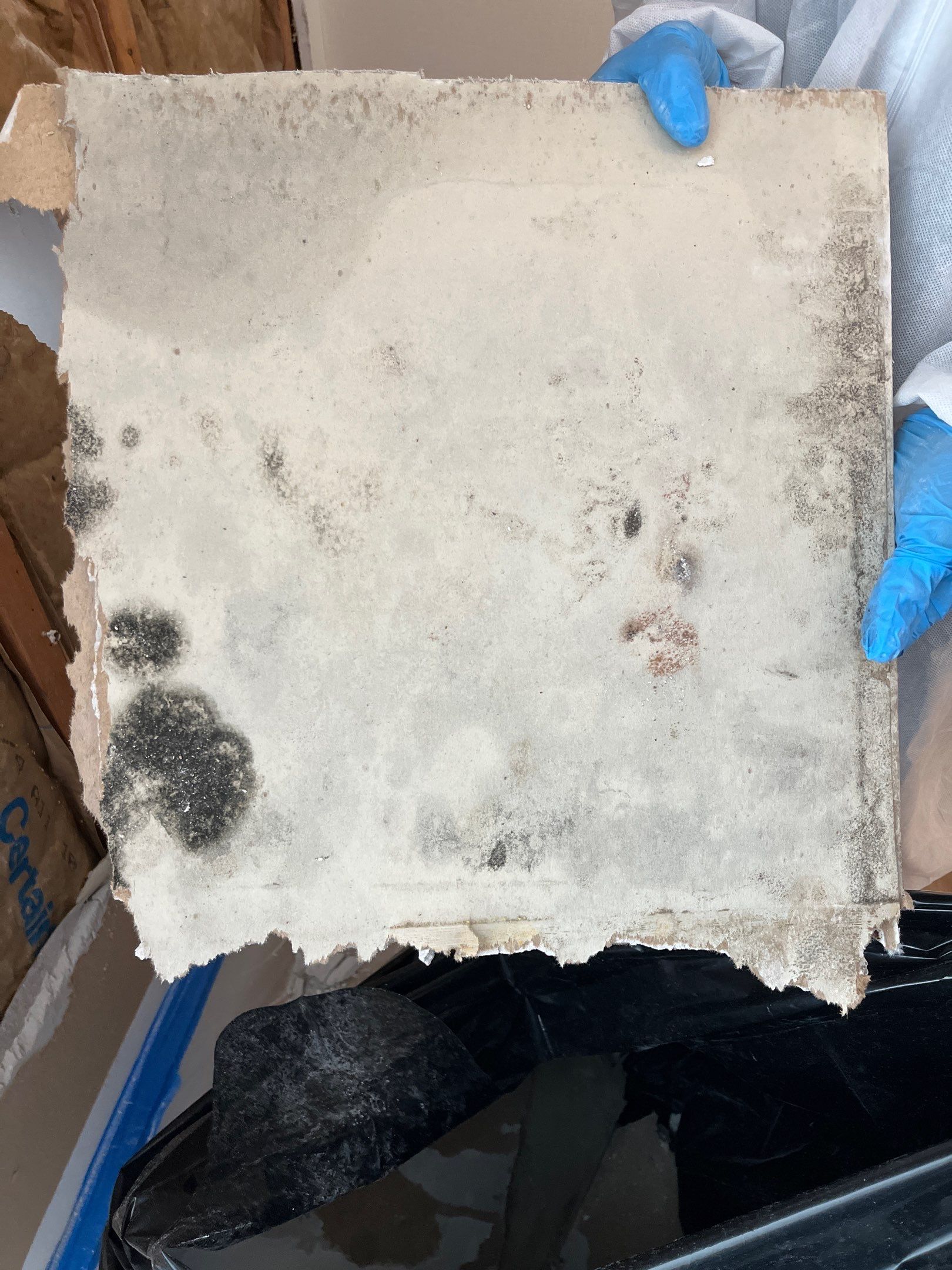 Bedroom mold remediation & Interior restoration by EAS Environmental, LLC.