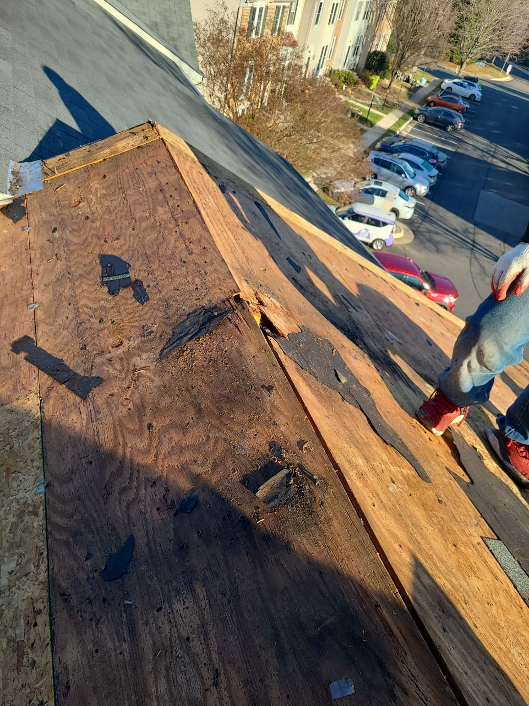 Alexandria CertainTeed Landmark Pro Roof in Max Def Pewterwood  by RM Banning, Inc.