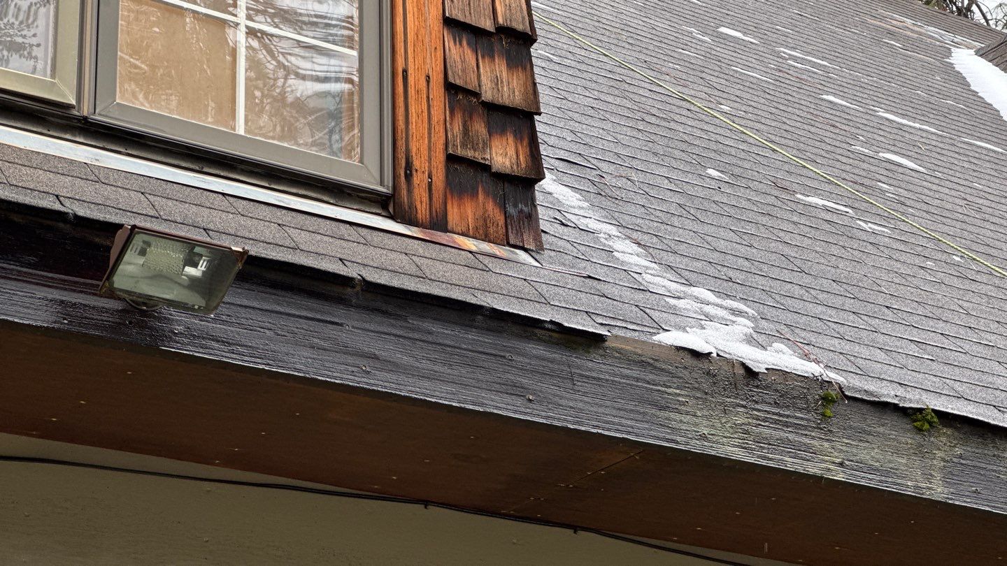 Project in Grass Valley by NuLead Construction Inc