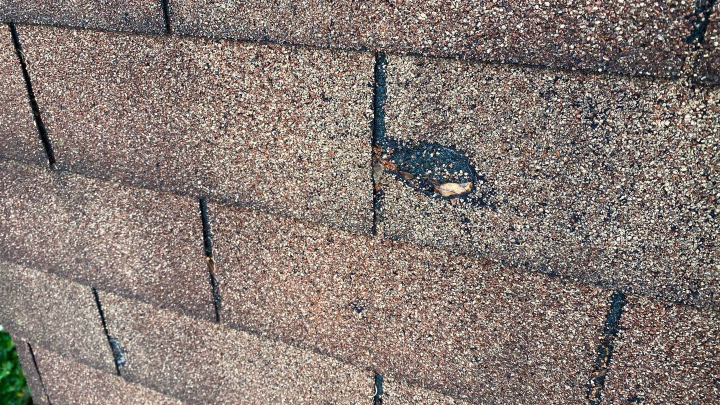 Arlington: CertainTeed Landmark Pro Designer Shingles in Max Def Shenandoah by RM Banning, Inc.