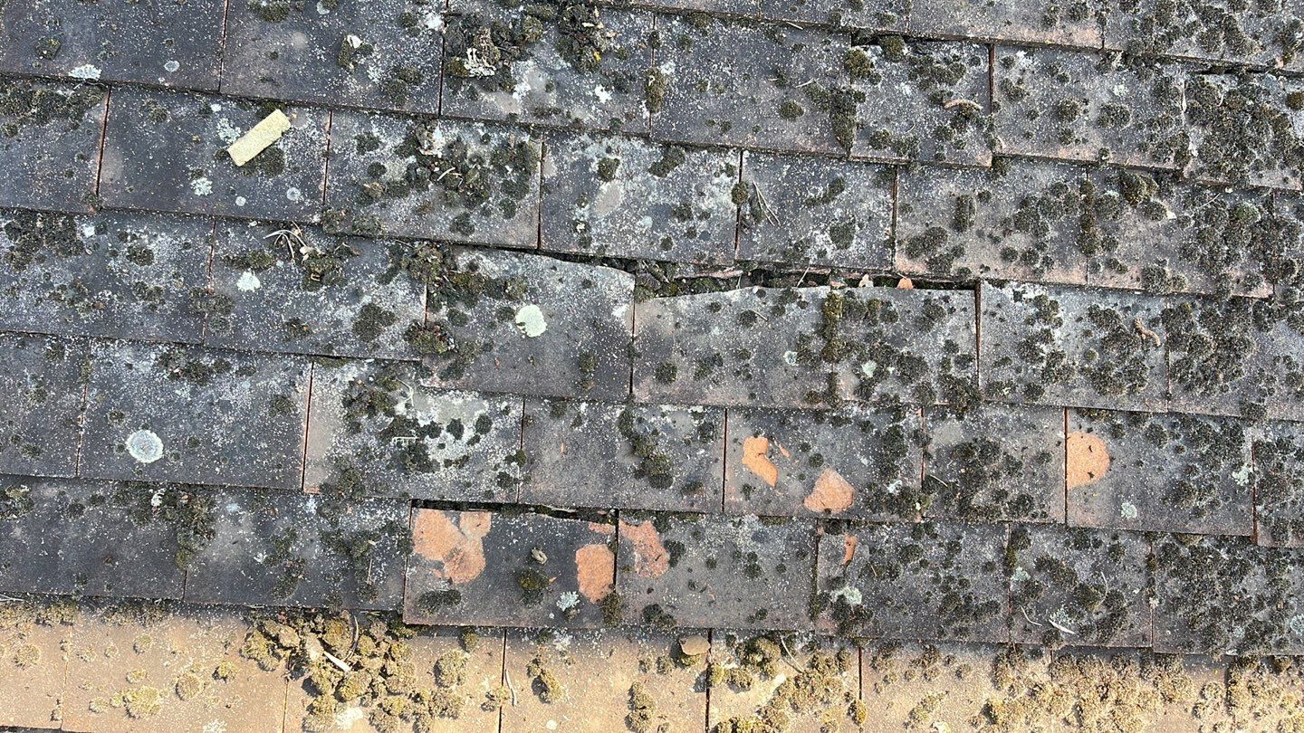 Roof Clean  - Moss Removal - Gutter Clean using Honda 15lpm Low Pressure Washing Machine by Ges Exterior Cleaning ltd