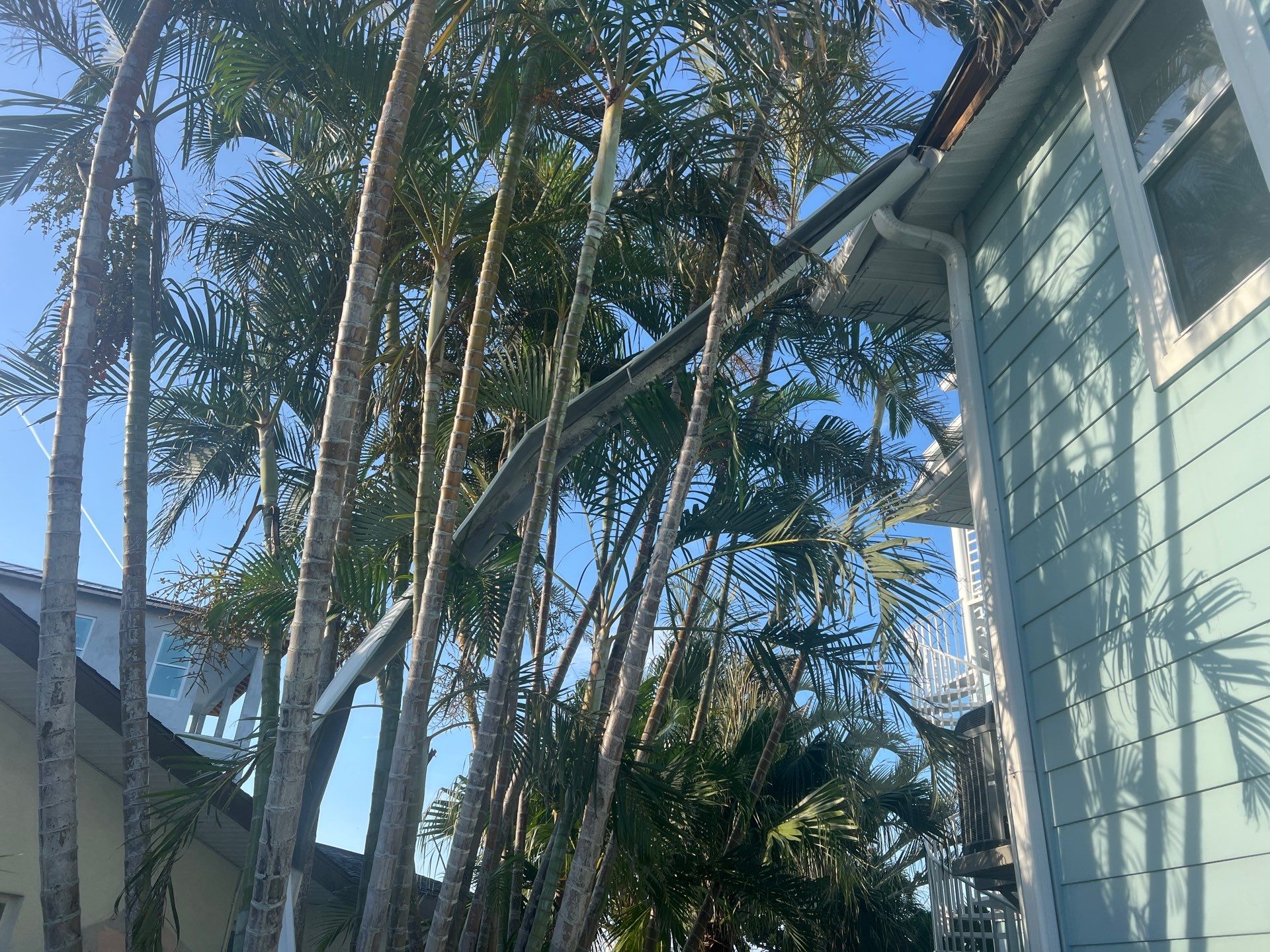 Project in Treasure Island 33706 by Mitchell Roofing Company LLC