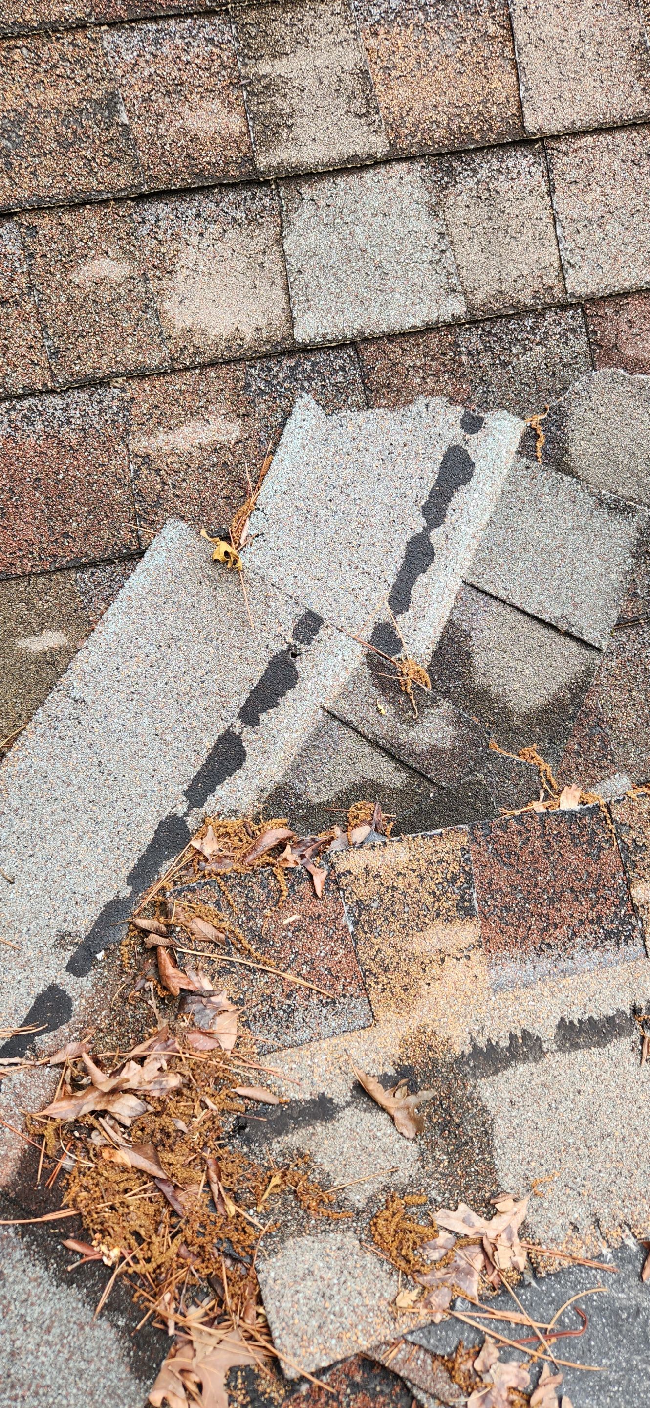 Residential Reroof: 40 Year Impact Rated Architectural Shingles by Hostetler Roofing