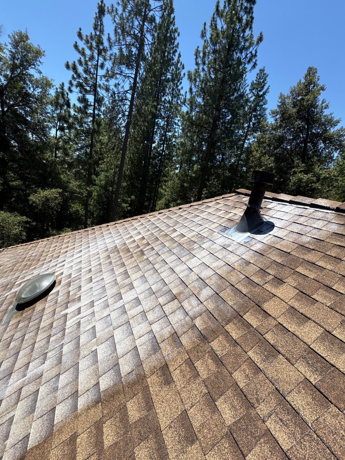 Roof Rejuvenation using Roof Maxx Treatment by Roof Maxx of Folsom
