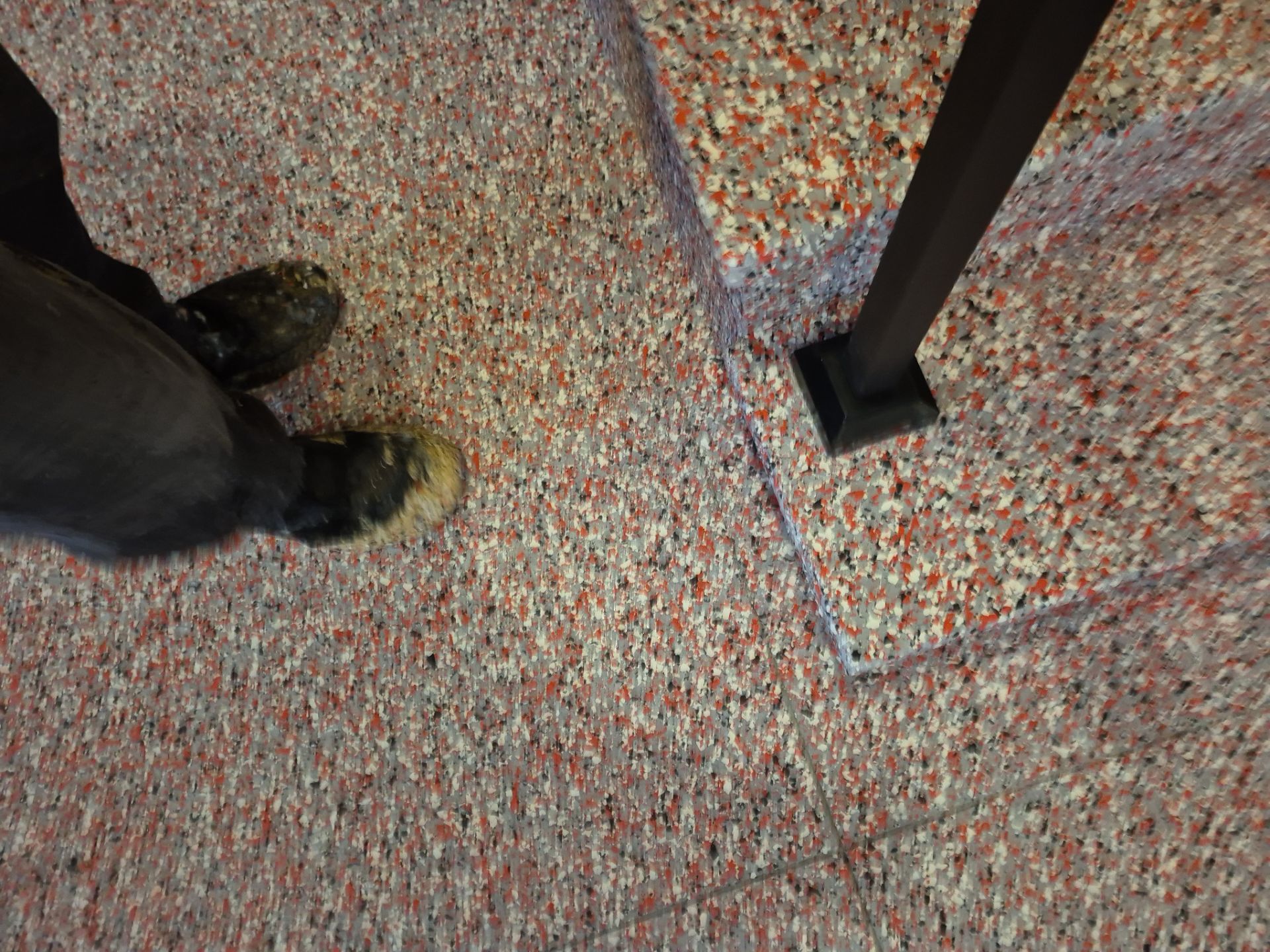 Project in Frankenmuth by Wise Coatings of Central Michigan