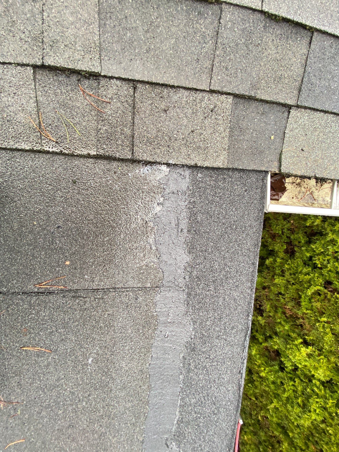 Emergency Roof Repair in Portland by Prodigy Roof Solutions