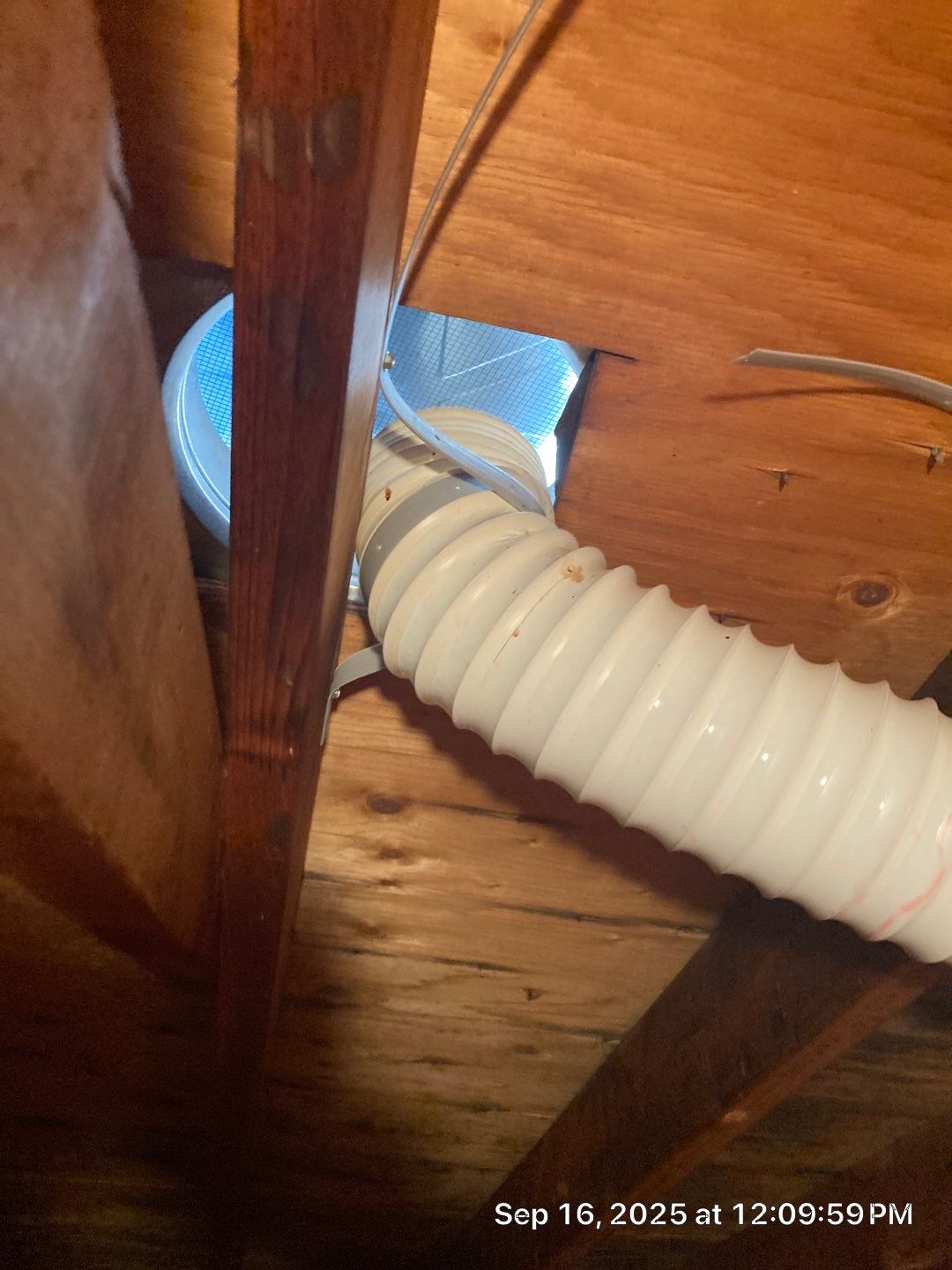 Shingle Roof Replacement by Absolute Roofing and Construction