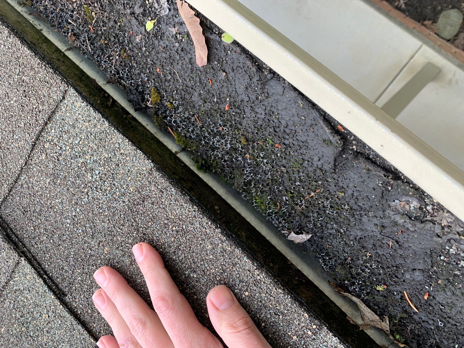 Roof Replacement using Owens Corning by 180 Contractors