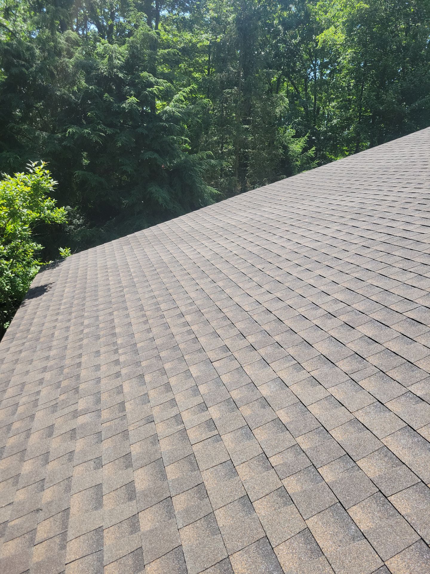 Architectural Shingle Roof Replacement by Esh Builders