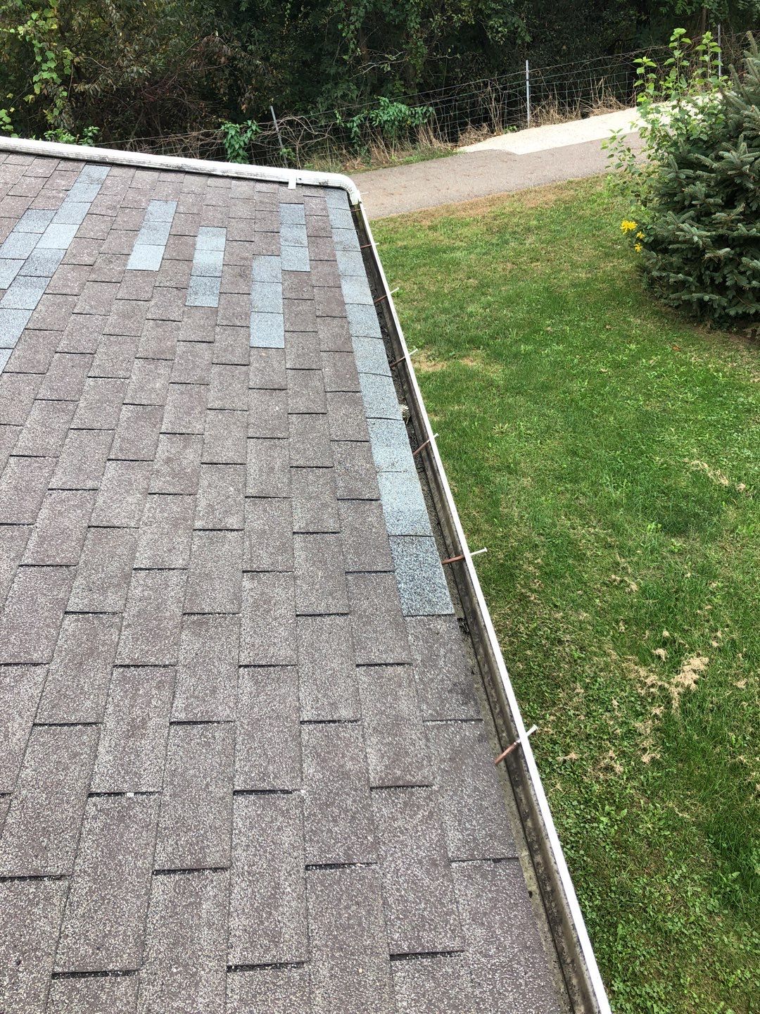 Jamie Tripp by Silver Leaf Contracting 