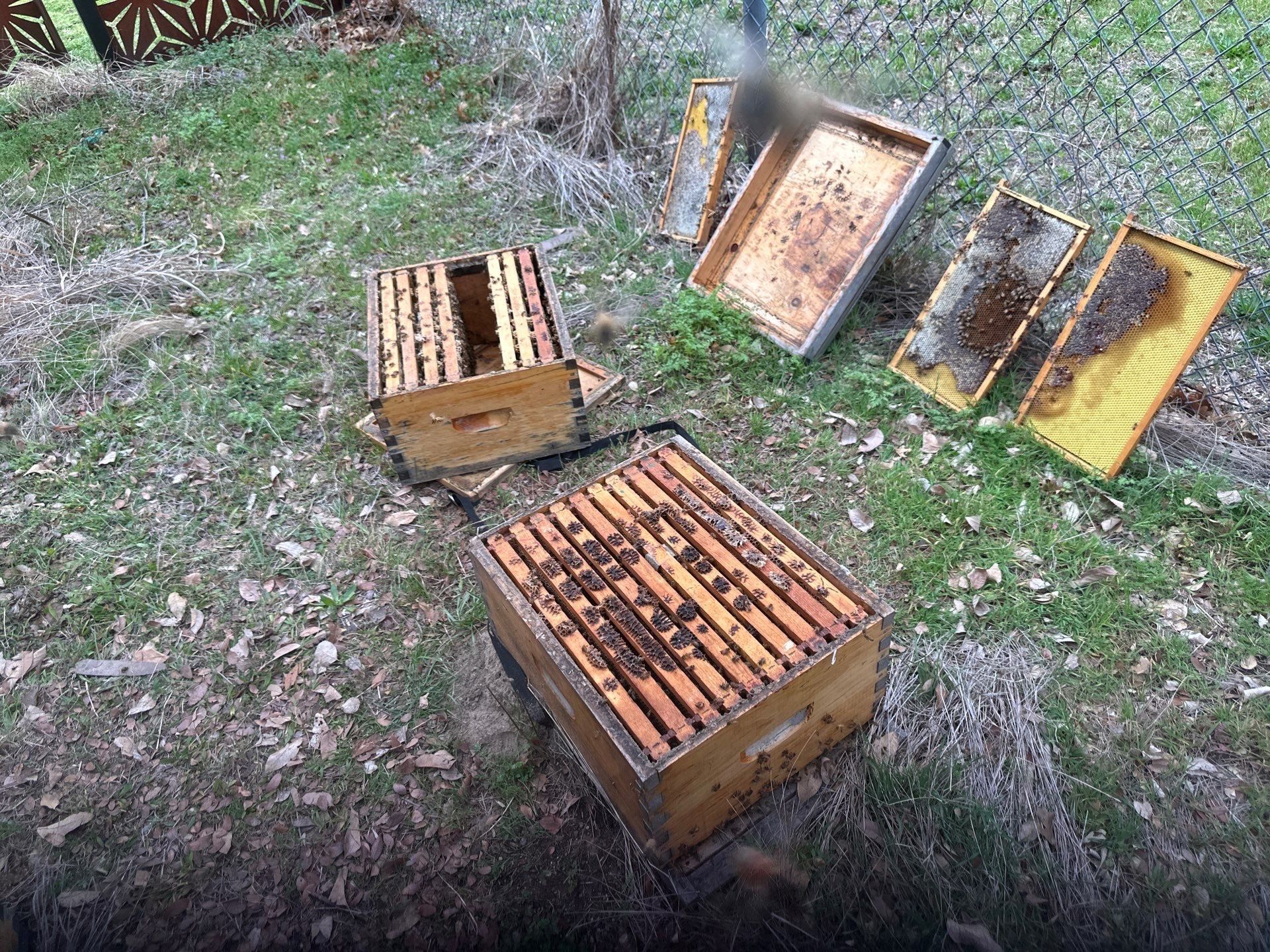 Apartments on the Trails by Rockwall Honey Bee Company