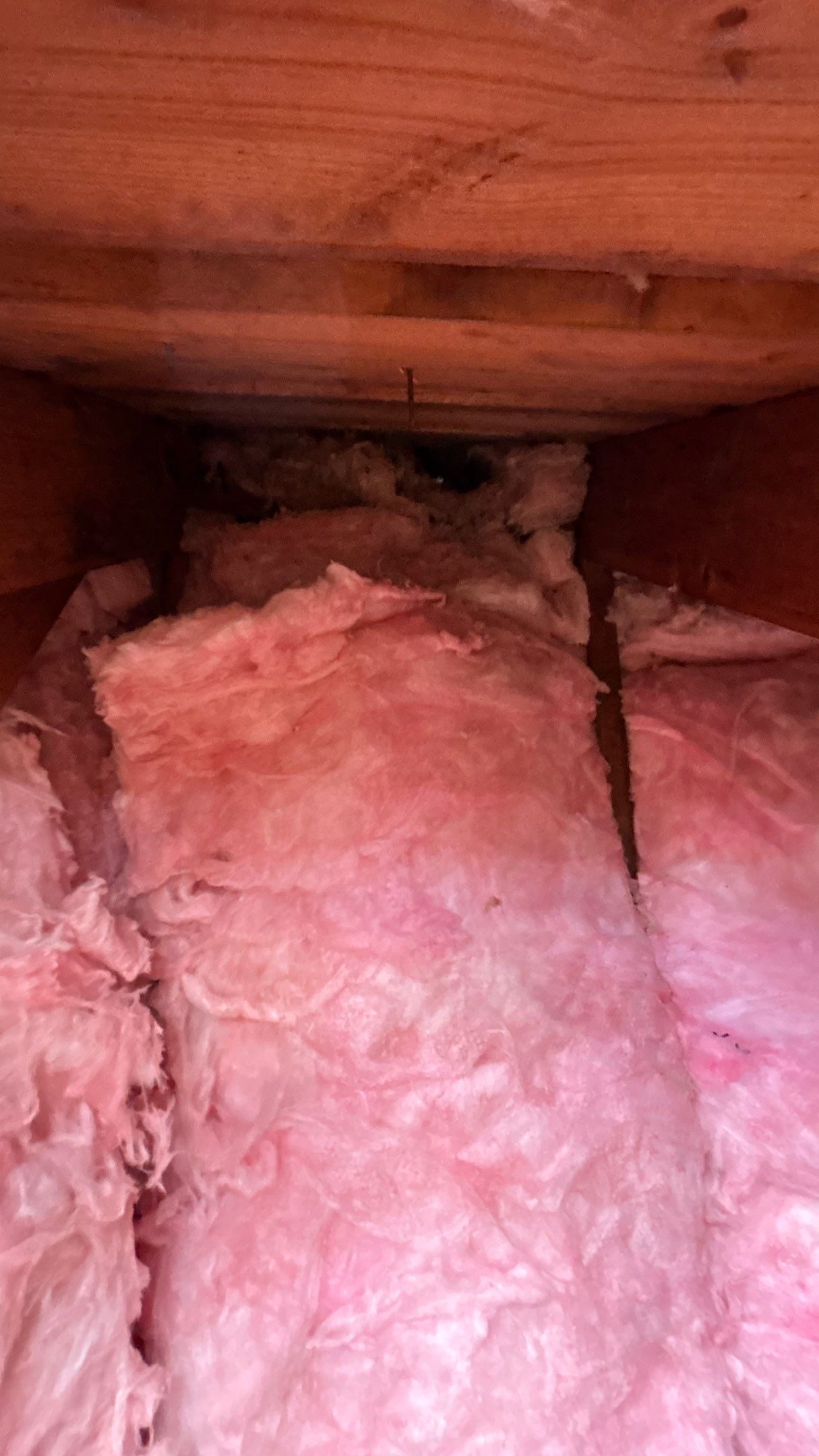 Roof Replacement using Owens Corning Summer Harvest by 180 Contractors