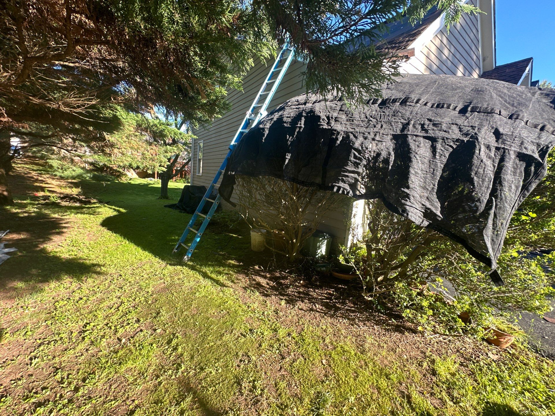 Designer Shingle Roof Replacement in Baltimore, MD • Susan S. by Seipp Roofing, LLC