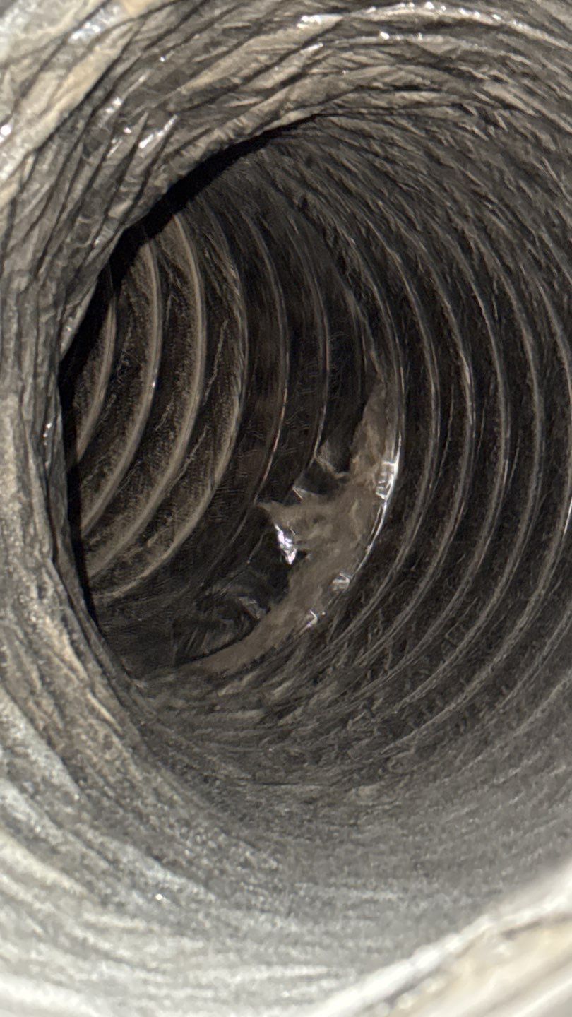 Carmen Salama by Triple R USA, Family of Companies