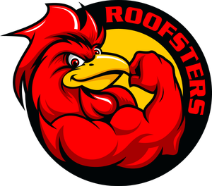 Logo for Roofsters