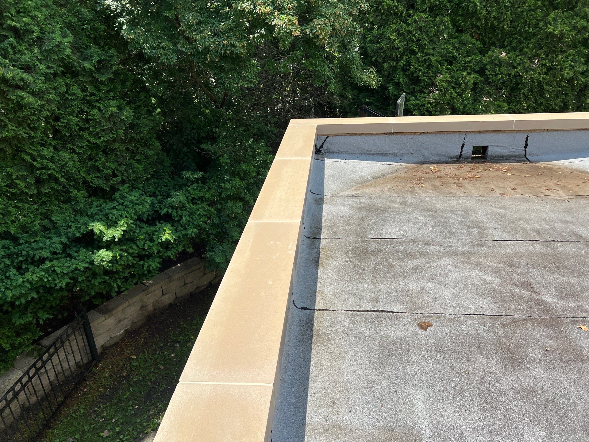concrete cleaning using Algaecide, soft wash soap by Northern Power Washing LLC.