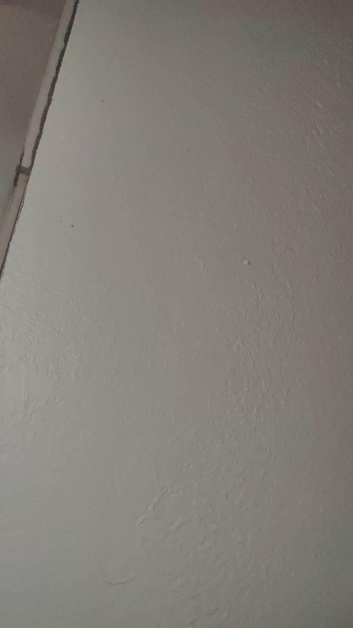 Water Damage by Accountable Home Services