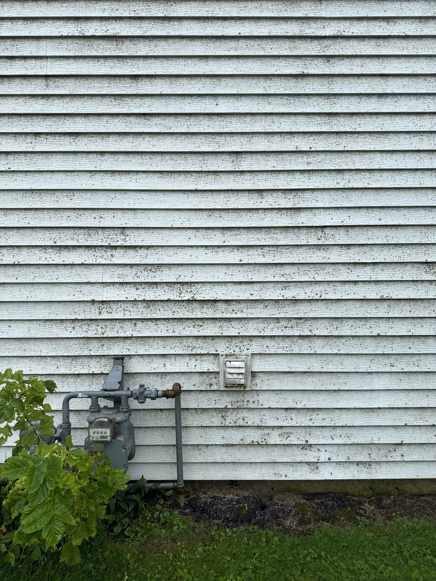 House Wash by Shulla Exterior Cleaning