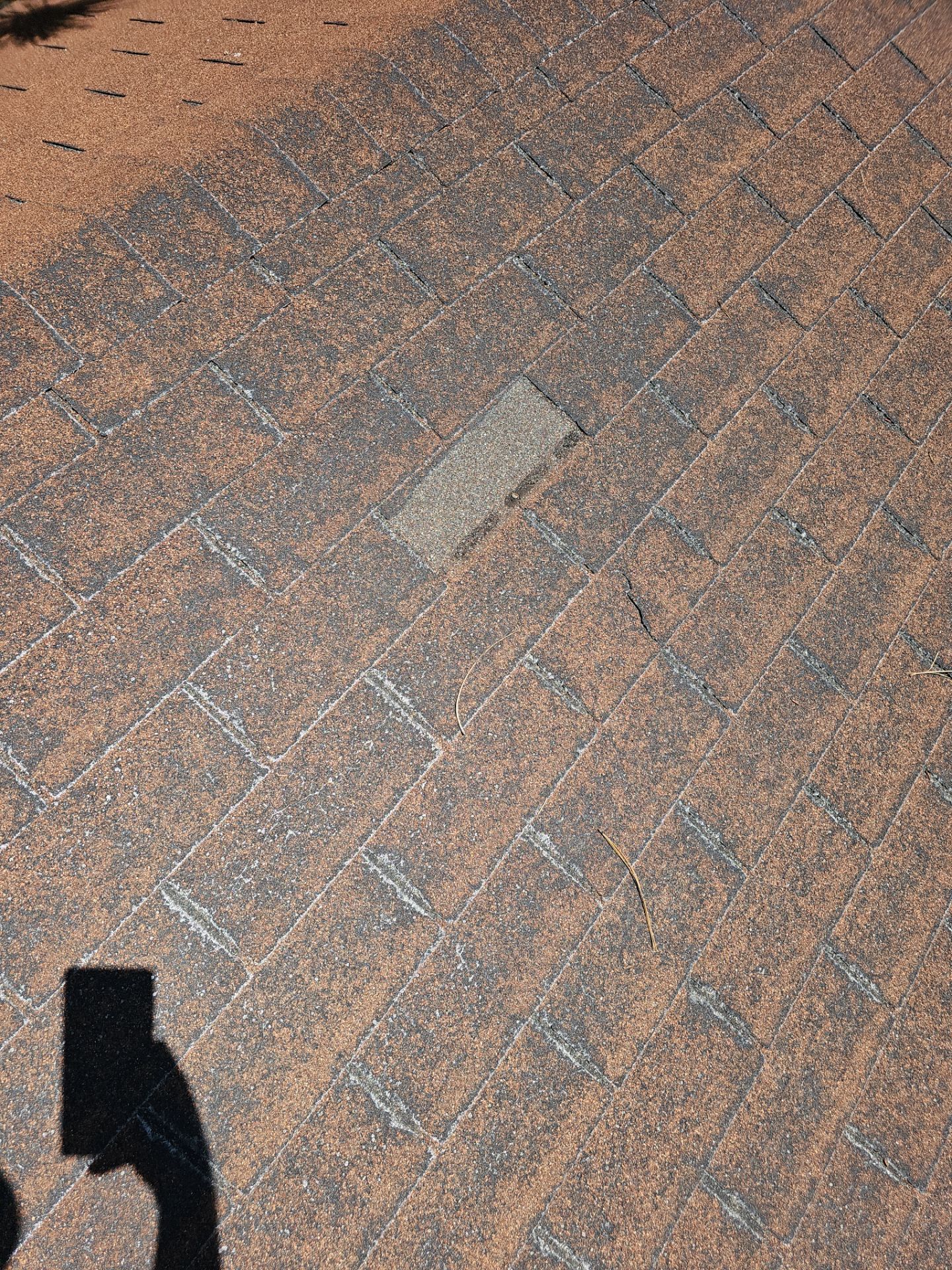 Malarkey Shingles in Arizona by Weather-Tite Exteriors LLC