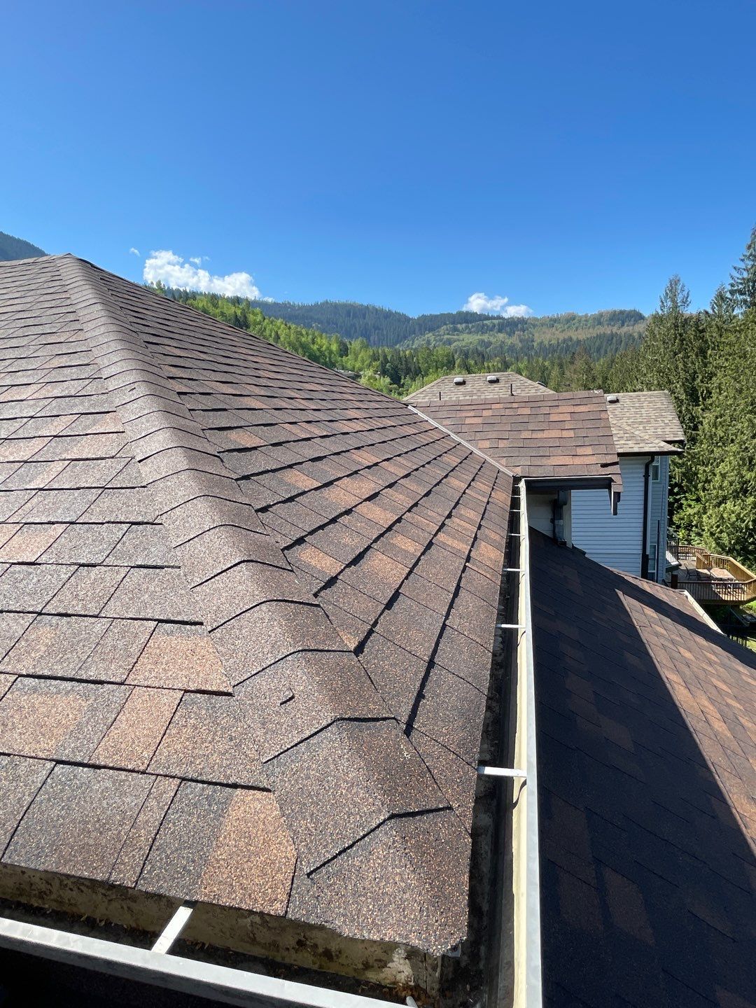 Residential Roofing Installation using OC Oakridge shingles by Top Notch Roofing Inc