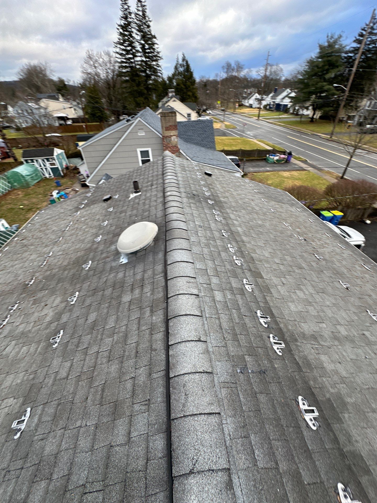 Silver Birch Shingles by Reimagine Roofing
