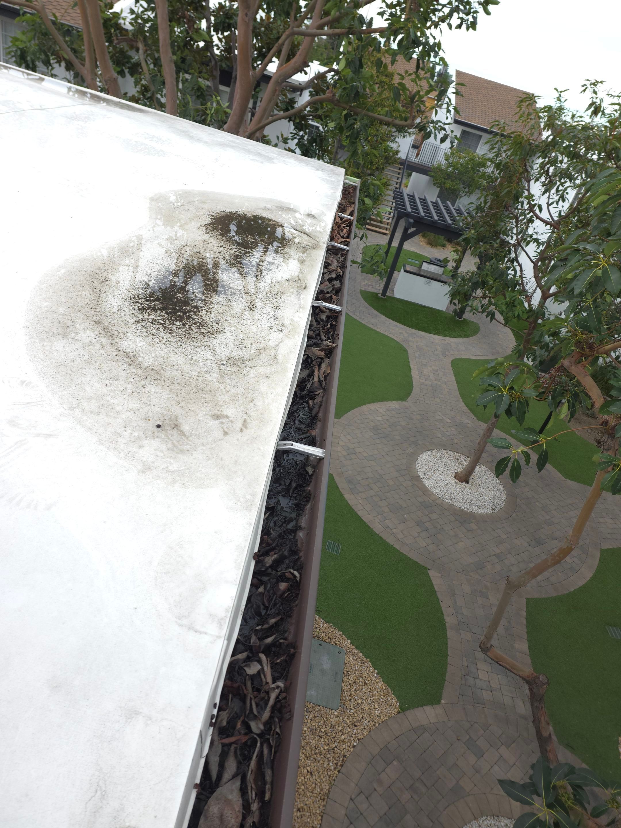 Commercial gutter cleaning Anaheim & Fullerton, CA before photo with filled gutters