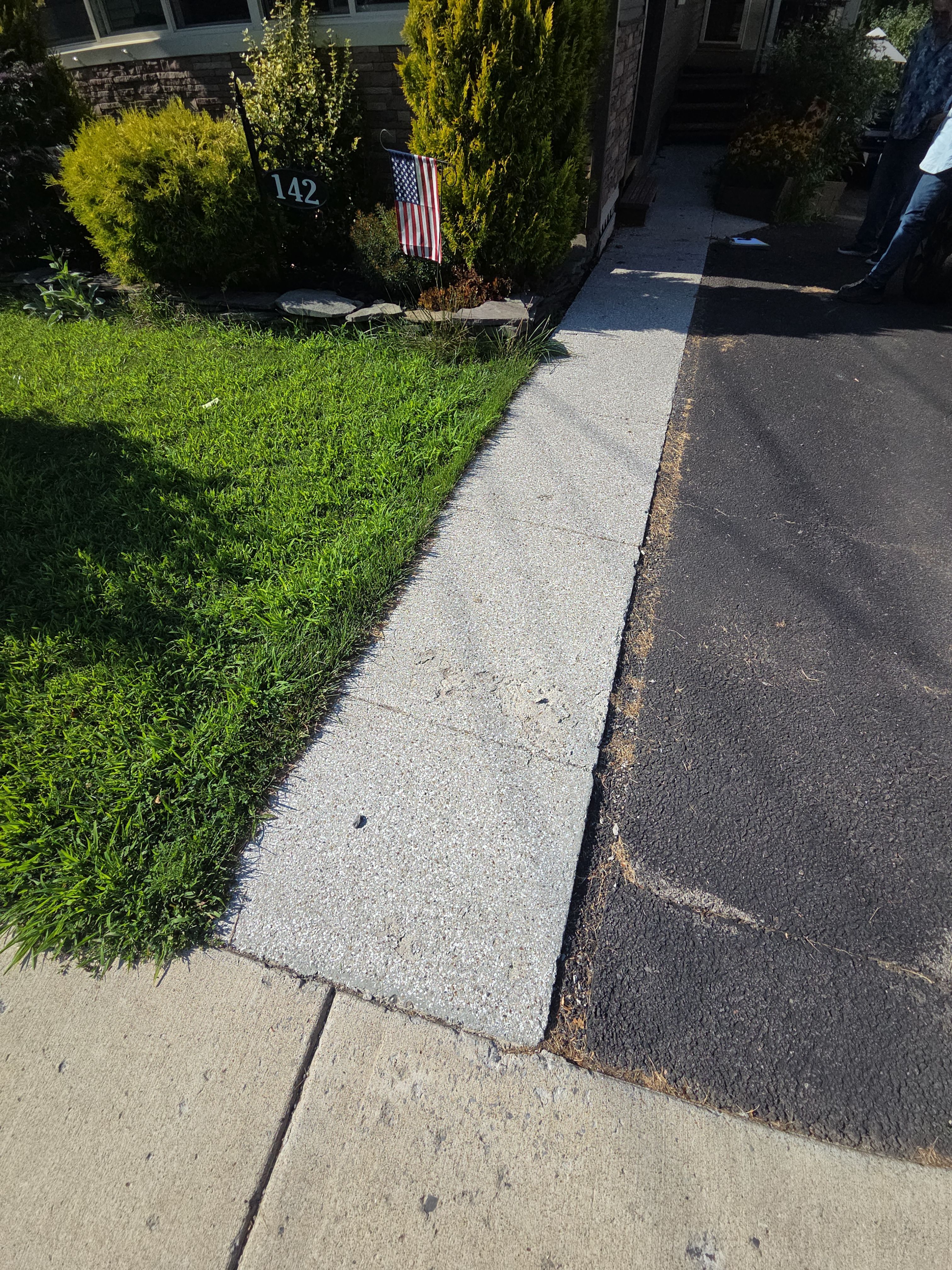 Earth Effects Stardust Sidewalk Coating by NG Masonry & Construction LLC