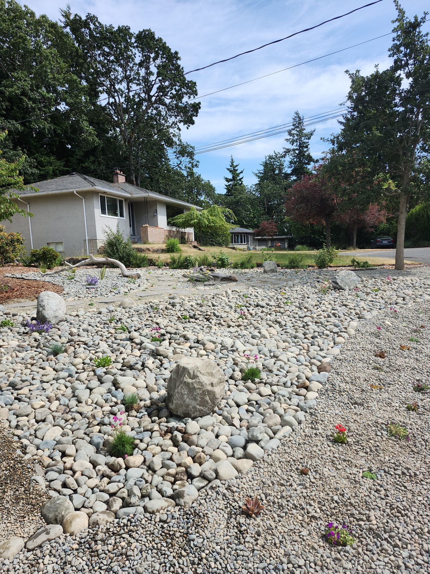Front Yard Ecological Conversion – A West Coast-Inspired Low-Maintenance Oasis by Habanero Garden and Exterior Care