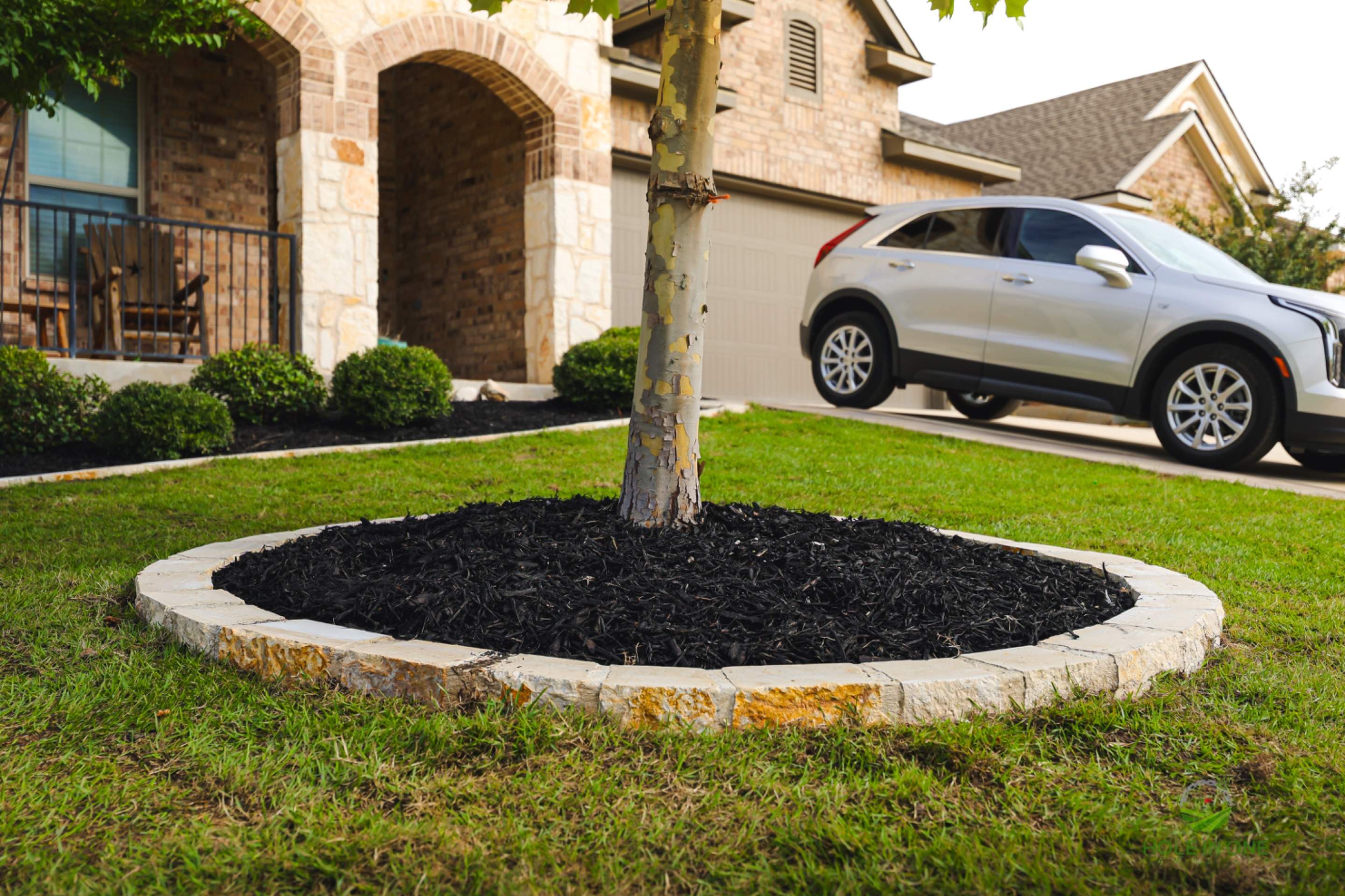 Wortham Oaks, San Antonio Tx. by Hole In One Lawns, LLC