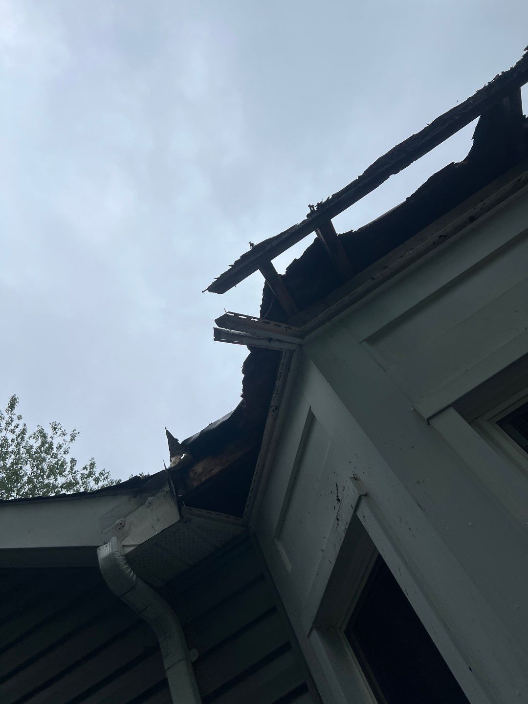 Alexandria: Residential Flat Roof Replacement with MuleHide TPO by RM Banning, Inc.