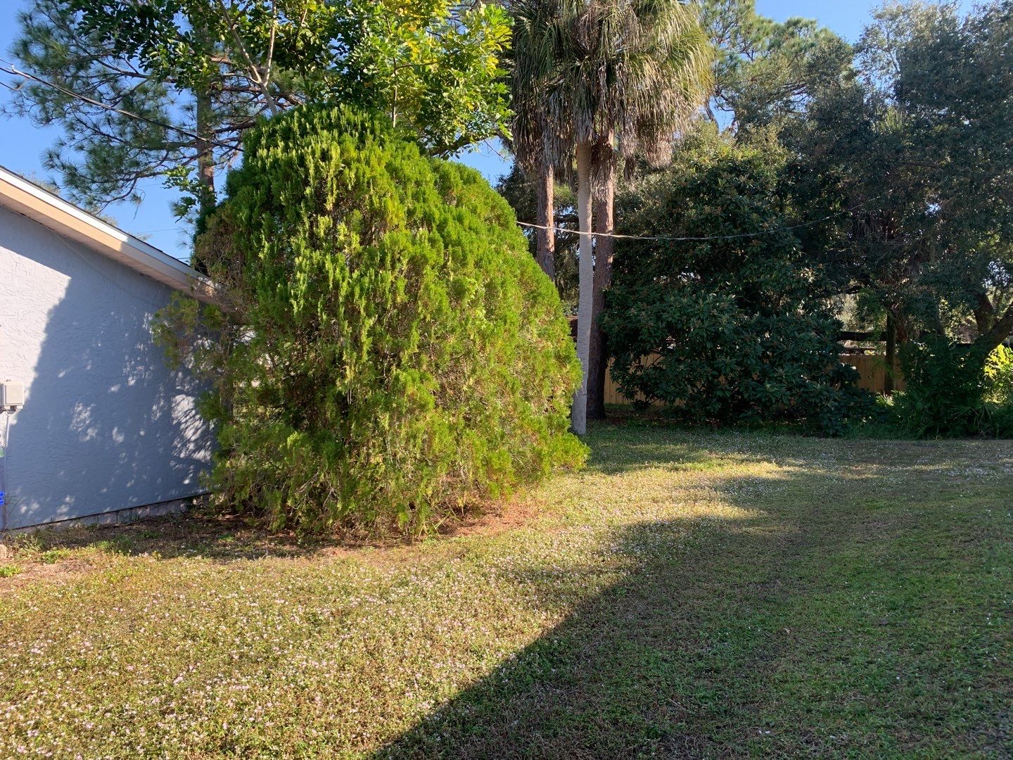 North Port, FL 6ft. Tall Treated Board on Board Privacy Fence by Asap fence and gates, LLC