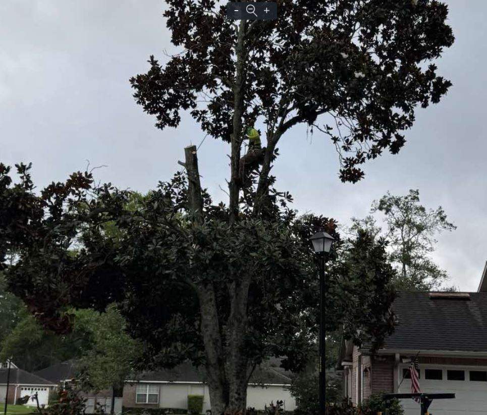 Deerwood Resident | Tree Removal by ProGreen Services