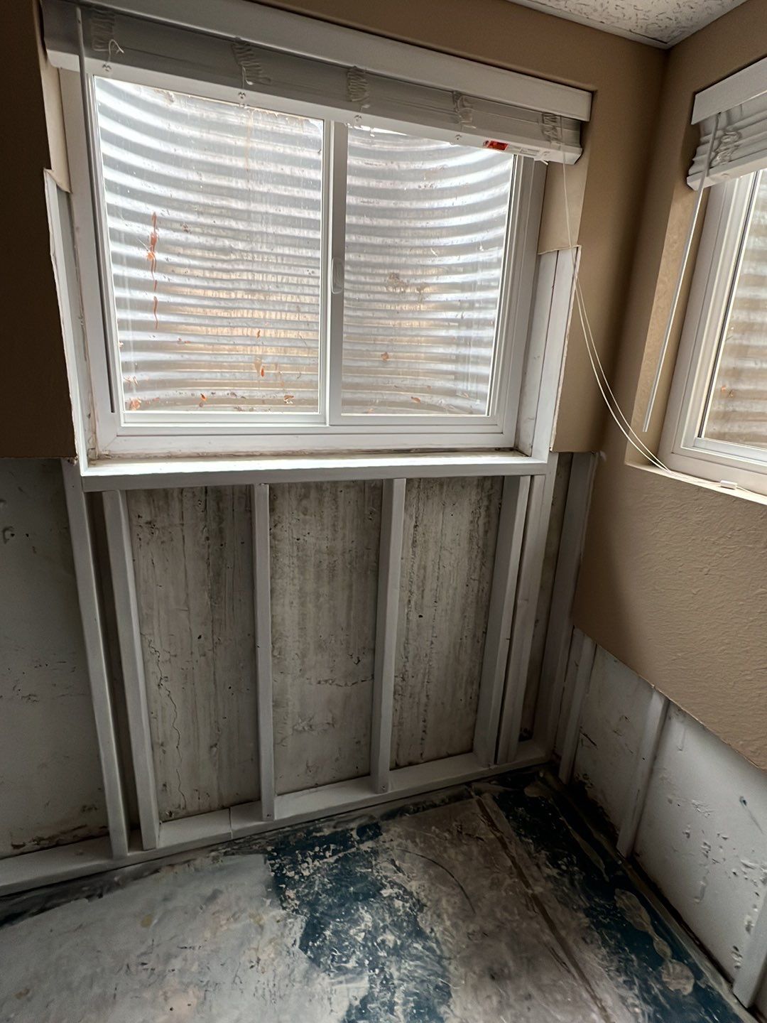 Mold Damage by Accountable Home Services
