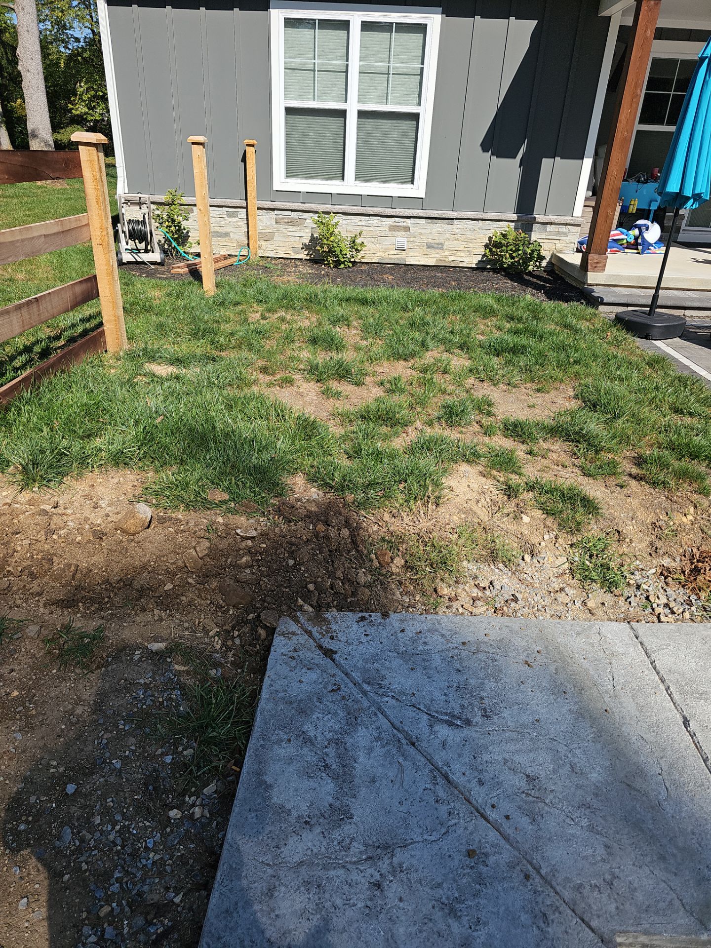 Hilliard Interior Yard Pet Lawn by Southwest Greens Midwest