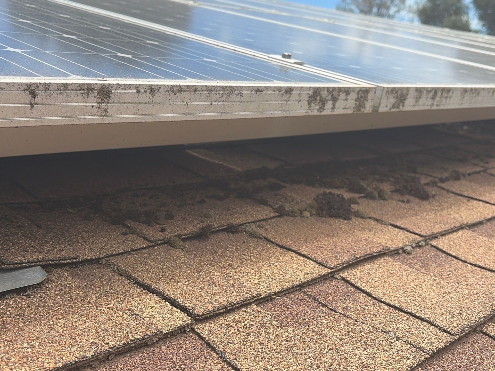 Roof Rejuvenation using Roof Maxx Treatment by Roof Maxx of Folsom
