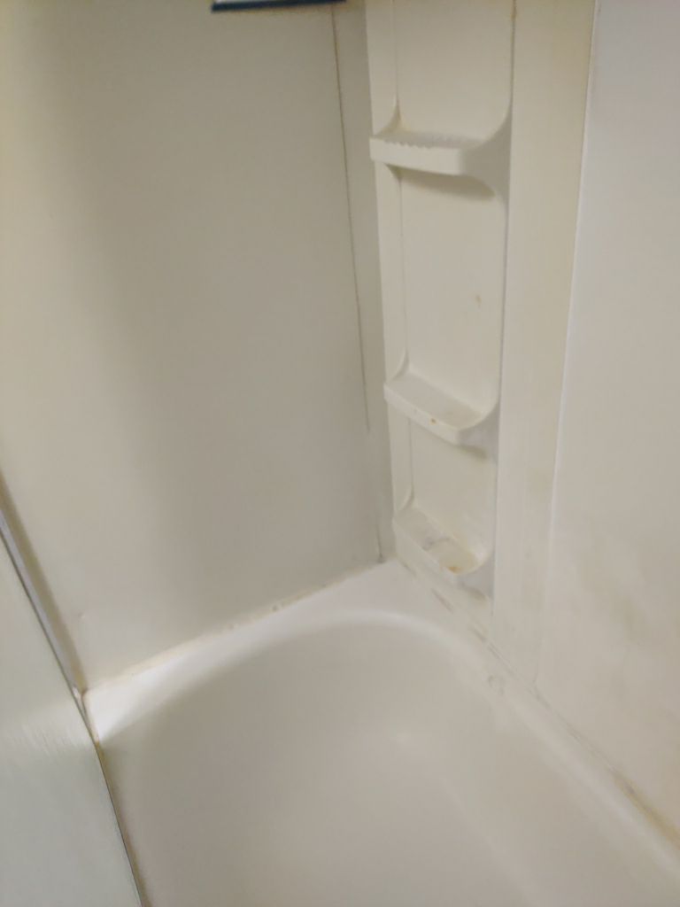 Mold Remediation in Basement by Accountable Home Services