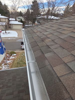   Gutters and Downspout Cleaning