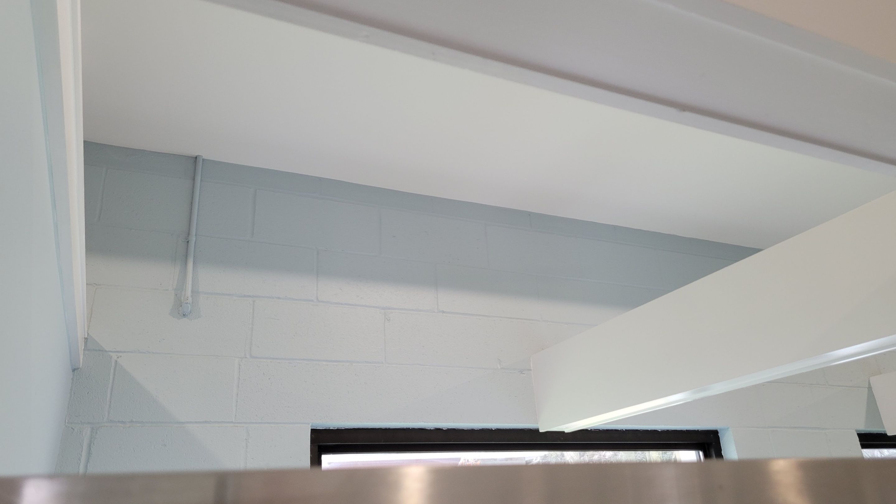 Kennel Floor Coating and Wall Painting using Penntek by Spectrum Painting, LLC