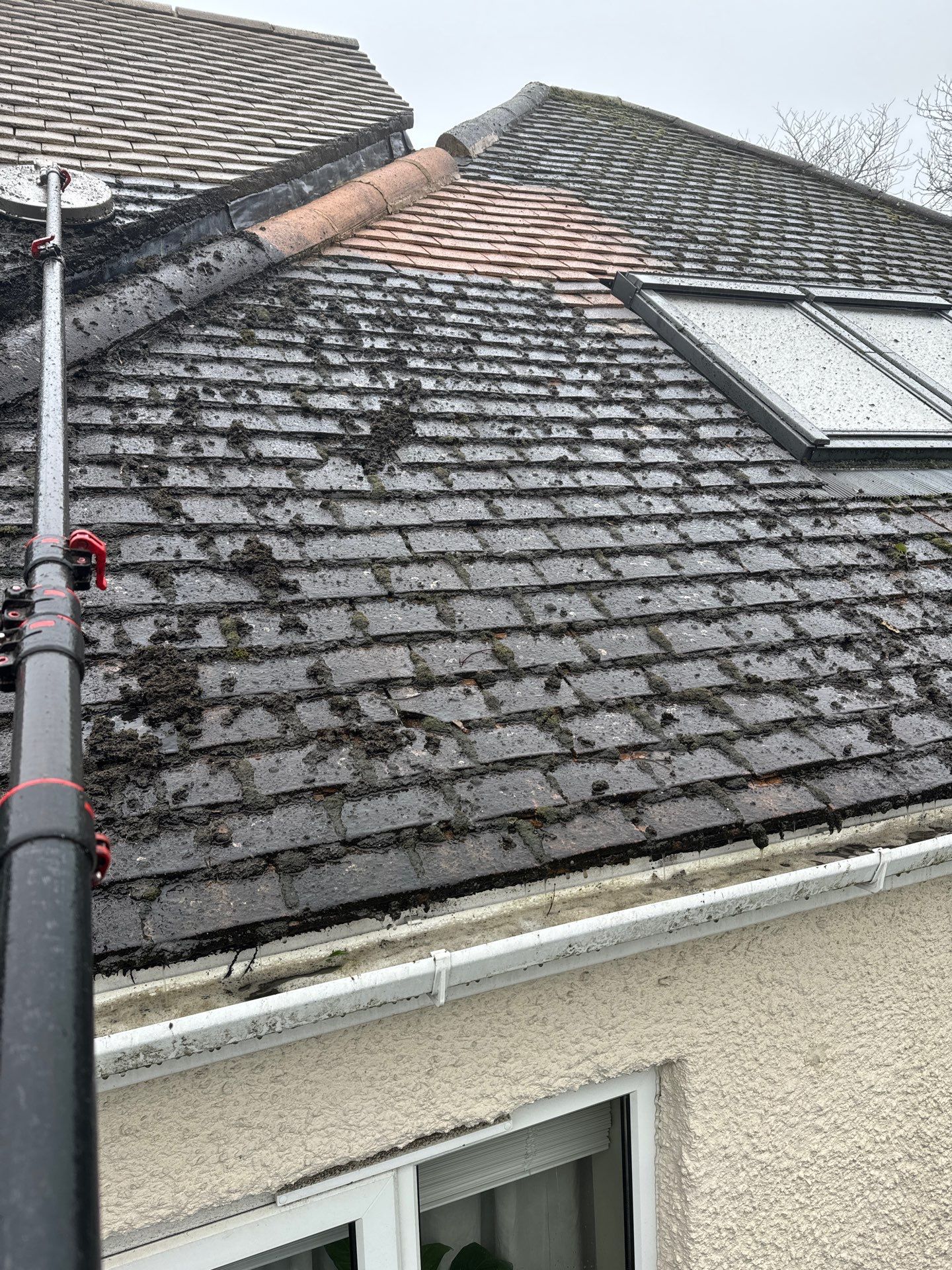 Commercial Roof Clean -Block Of Flats using Honda 15lpm Low Pressure Washing Machine by Ges Exterior Cleaning ltd